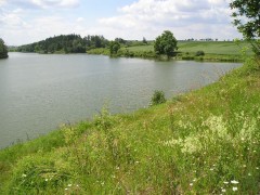 Rybník Markovka u Třebíče